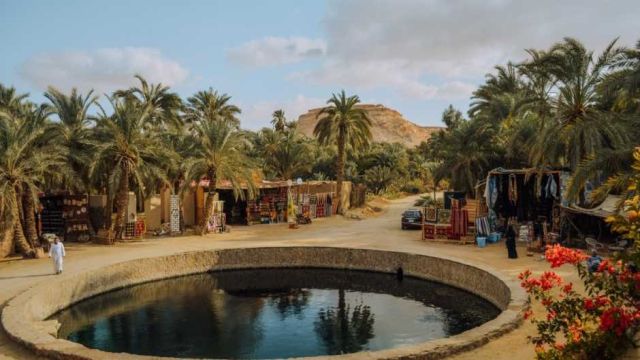 https://marsaalam-trip.com/wp-content/uploads/2024/09/1-1-2.jpg