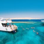 Snorkeling Trip At Sataya dolphin Reef from Marsa Alam