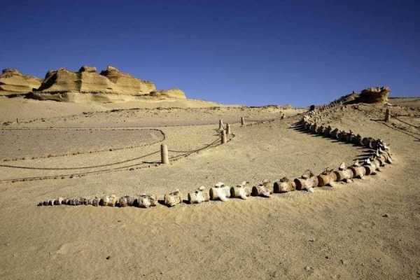 https://marsaalam-trip.com/wp-content/uploads/2024/09/600x400-1-50-f5c0be4b25513978ab83678c9e001119.jpg