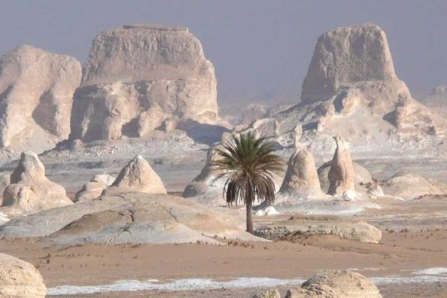 https://marsaalam-trip.com/wp-content/uploads/2024/09/900x600-1-50-47638472c0fd9719d87747c734a99087.jpg