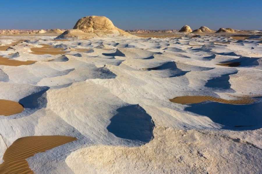 https://marsaalam-trip.com/wp-content/uploads/2024/09/900x600-1-50-dbc88d7e8a5a27164eee55a8508a5fbe.jpg